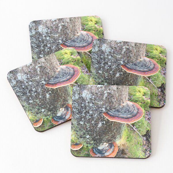Item preview, Conk designed and sold by Kelly O'Neill.