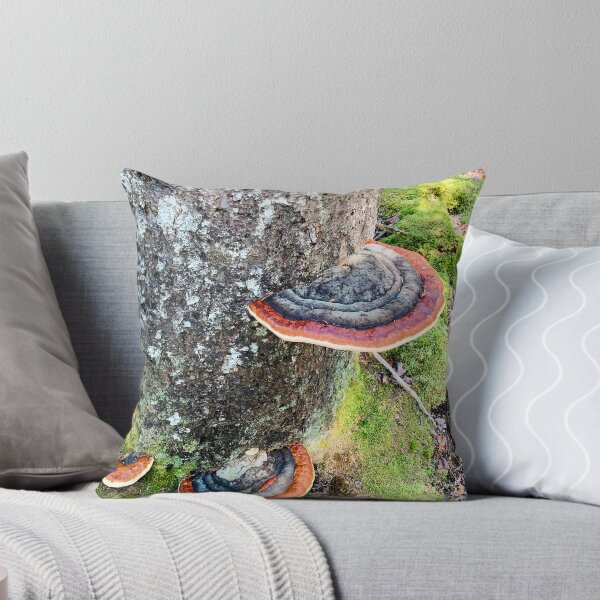 Item preview, Conk designed and sold by Kelly O'Neill.