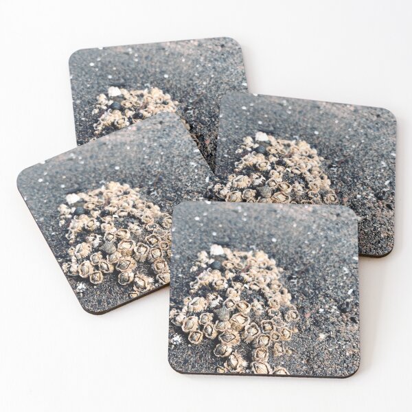 Item preview, Beach designed and sold by Kelly O'Neill.
