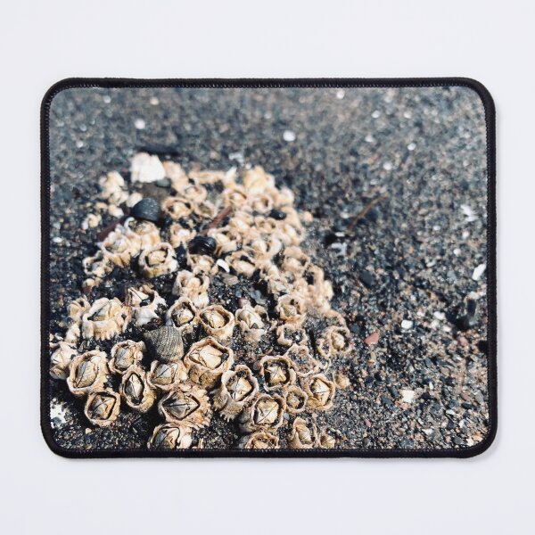 Item preview, Beach designed and sold by Kelly O'Neill.
