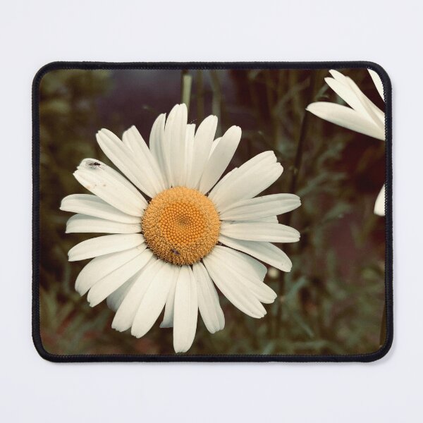 Item preview, Daisy designed and sold by Kelly O'Neill.