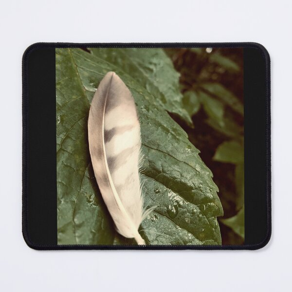 Item preview, Feather designed and sold by Kelly O'Neill.