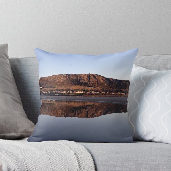 Item preview, The nut reflection Stanley Tasmania  designed and sold by Ruckrova.