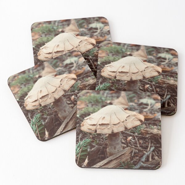 Item preview, Brown Mushroom designed and sold by Kelly O'Neill.