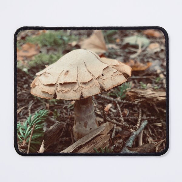 Item preview, Brown Mushroom designed and sold by Kelly O'Neill.