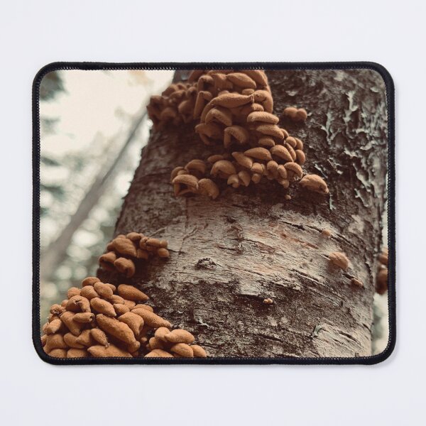 Item preview, Fungi designed and sold by Kelly O'Neill.