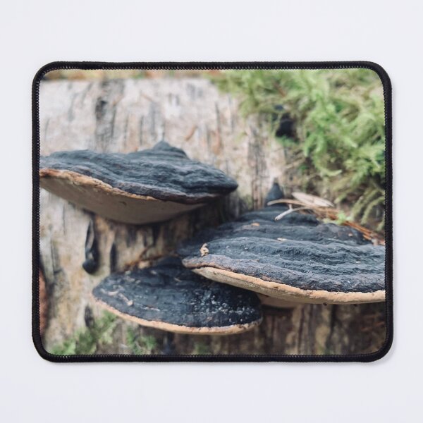 Item preview, Polypores designed and sold by Kelly O'Neill.