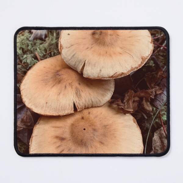 Item preview, Mushrooms designed and sold by Kelly O'Neill.