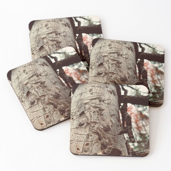 Item preview, Tree Trails designed and sold by Kelly O'Neill.