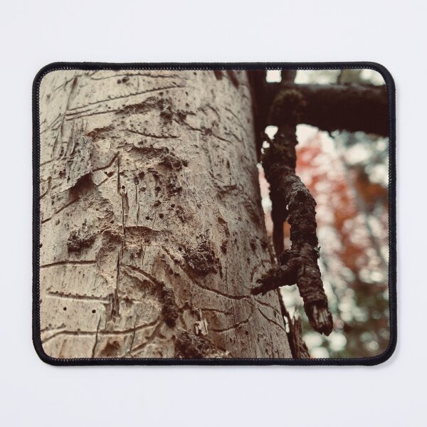 Item preview, Tree Trails designed and sold by Kelly O'Neill.