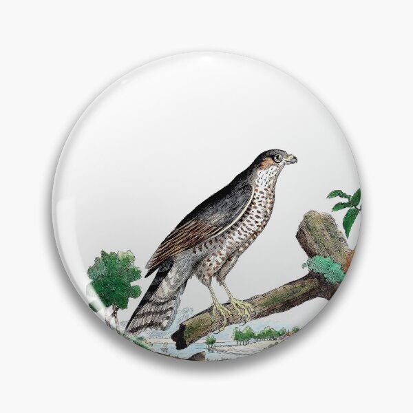 Item preview, Grabado francés antiguo de pájaro designed and sold by louisxvpod.
