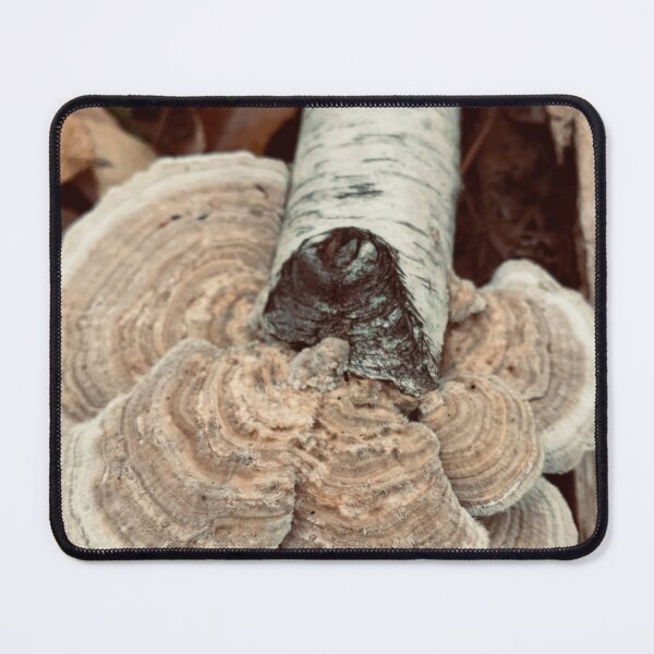 Item preview, Turkey Tail Mushroom designed and sold by Kelly O'Neill.
