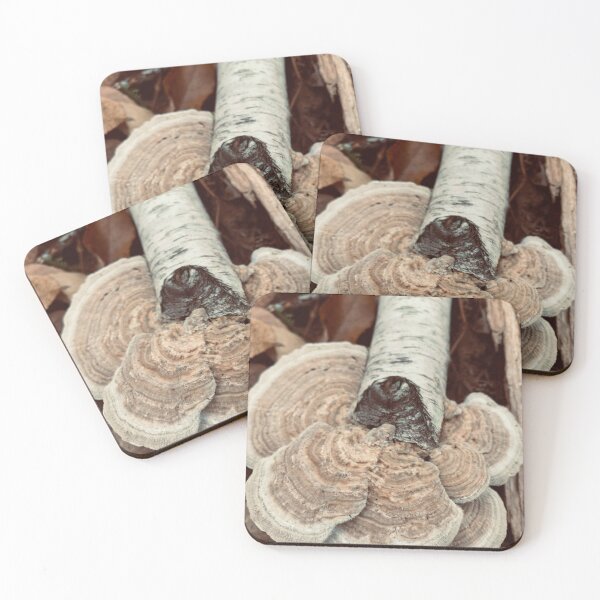 Item preview, Turkey Tail Mushroom designed and sold by Kelly O'Neill.