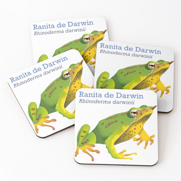 Item preview, Darwin Frog (Ranita de Darwin) designed and sold by TheNewAmericana.