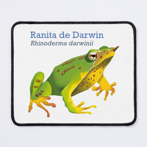 Item preview, Darwin Frog (Ranita de Darwin) designed and sold by TheNewAmericana.