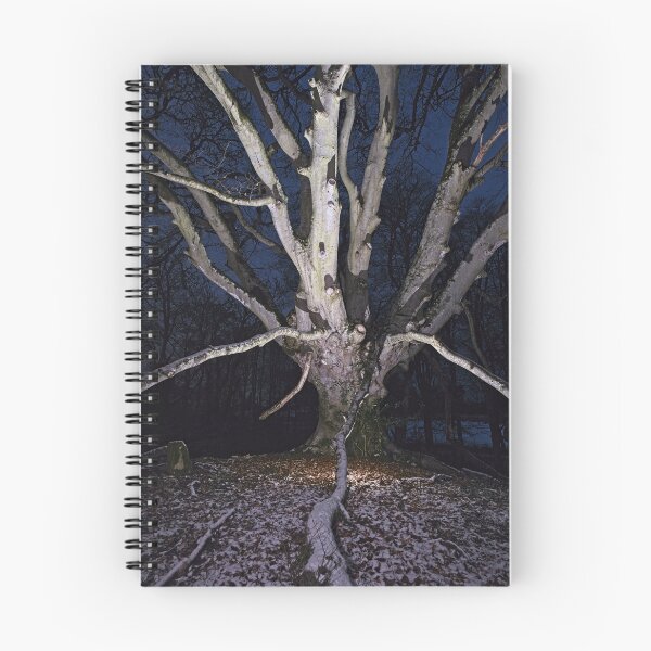 Item preview, One of Five (1) designed and sold by ShinyPhoto.