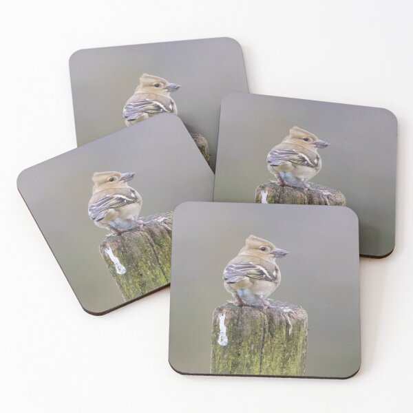 Item preview, Chaffinch designed and sold by LaurenTucker.