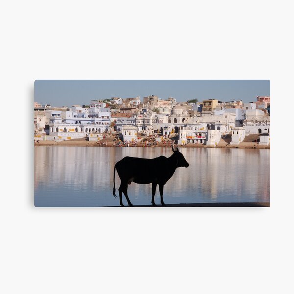 Pushkar, Rajasthan Canvas Print