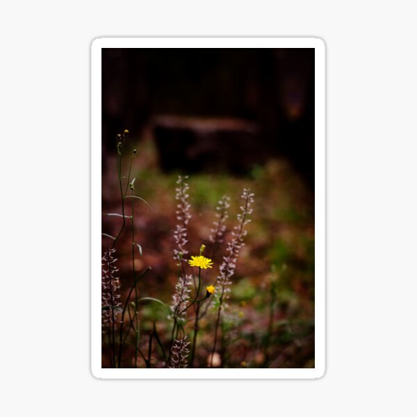 Little yellow Sticker