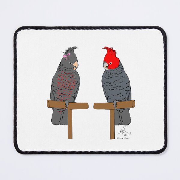 Item preview, Crazy Bird man with Gang Gang Cockatoos designed and sold by Laughing Parrot Studio.