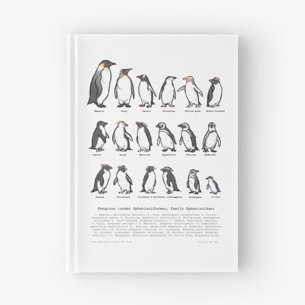 Artikelvorschau, Pinguin-Arten entworfen und verkauft von Asterwild.