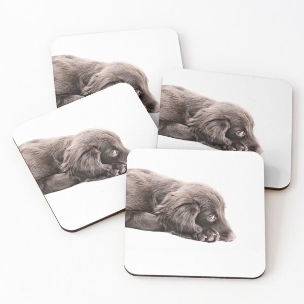 Item preview, Sulky Spaniel designed and sold by ernest123.