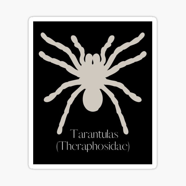 Item preview, Tarantulas (Theraphosidae) Scientific Family White Silhouette Design designed and sold by EarthArtDesigns.
