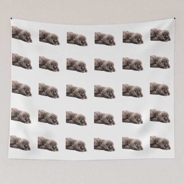 Item preview, Sulky Spaniel designed and sold by ernest123.