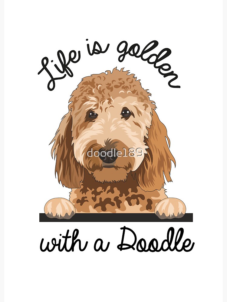 Cute Girls Goldendoodle Gift Golden Doodle Print' Water Bottle