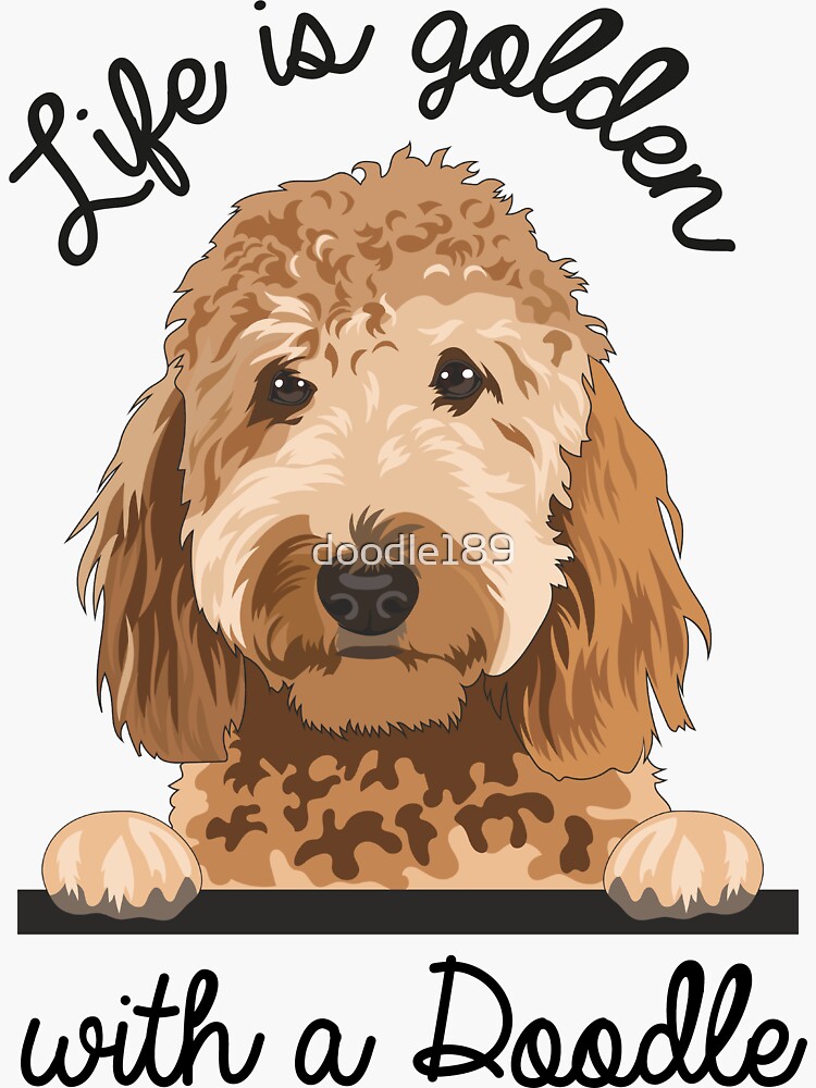 Thumbnail 3 von 3, Sticker, Das Leben ist golden mit einem Doodle, Golden Doodle Dog Mom Geschenk designt und verkauft von doodle189.