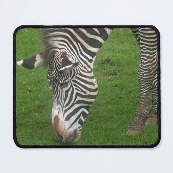 Item preview, Grevy's Zebra designed and sold by RedHillDigital.