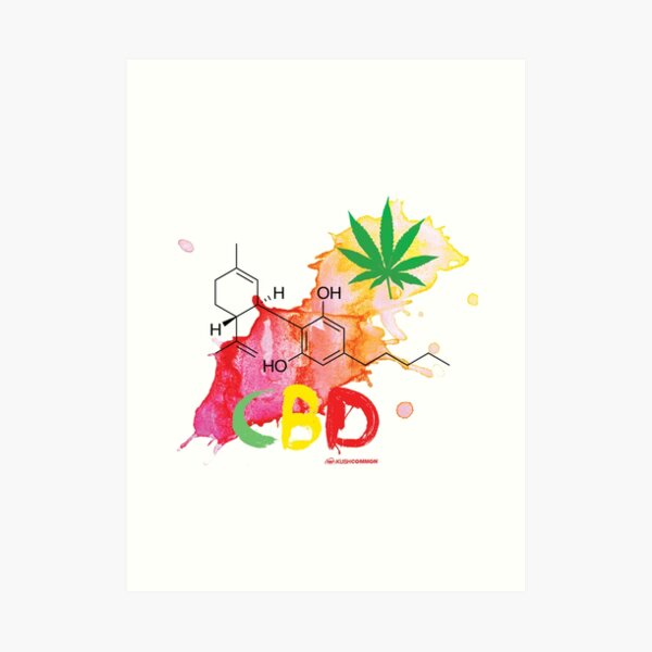 CBD Splash Art Print