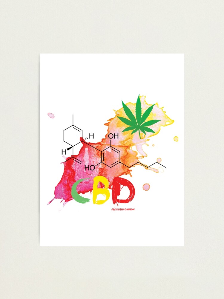 Alternate view of CBD Splash Photographic Print