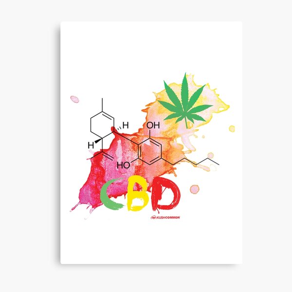 CBD Splash Metal Print