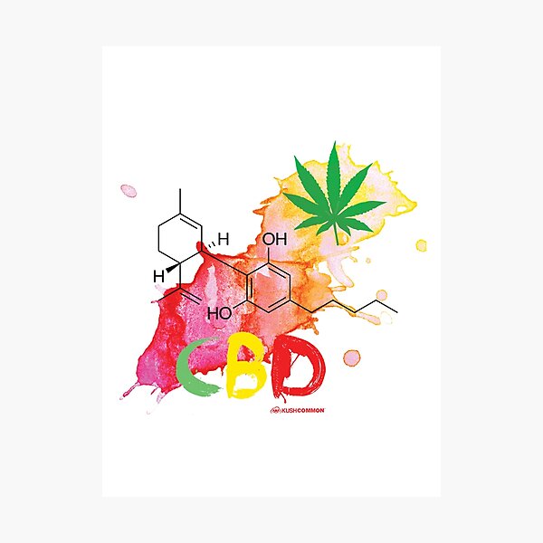 CBD Splash Photographic Print