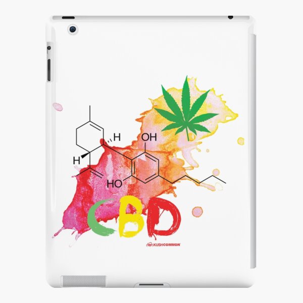 CBD Splash iPad Snap Case
