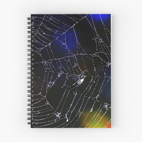 Item preview, Web Repairs designed and sold by Deb Oppermann.