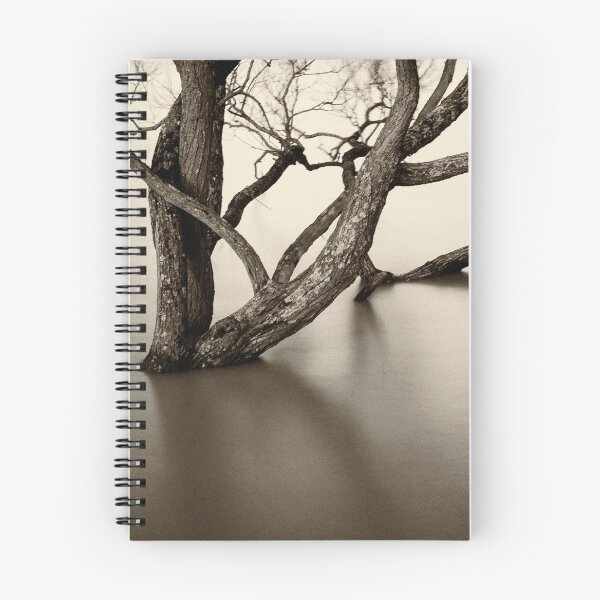 Item preview, Flooded trees designed and sold by Dave Hare Photography.