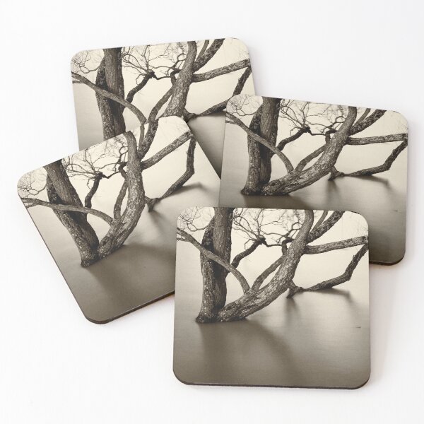 Item preview, Flooded trees designed and sold by Dave Hare Photography.