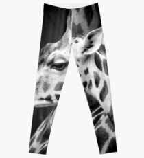 Giraffe Leggings