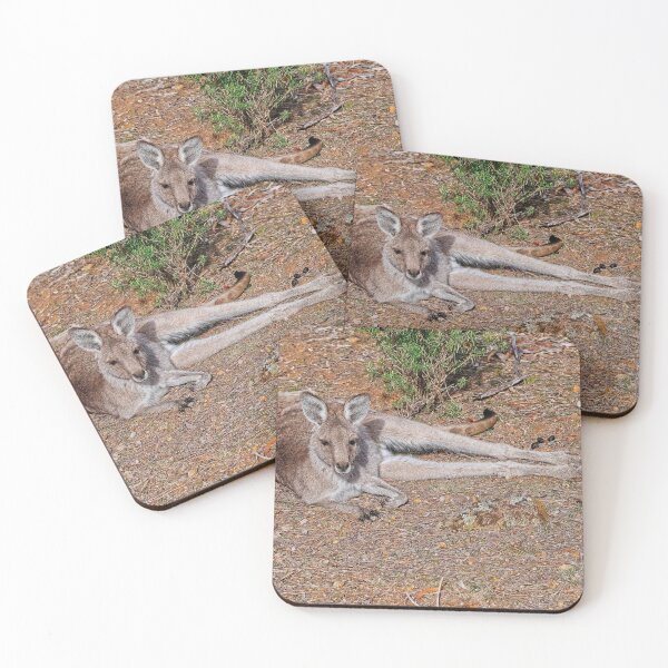 Item preview, Kangaroo, Canberra, Australia designed and sold by StevenRalserPhoto.