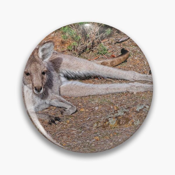 Item preview, Kangaroo, Canberra, Australia designed and sold by StevenRalserPhoto.