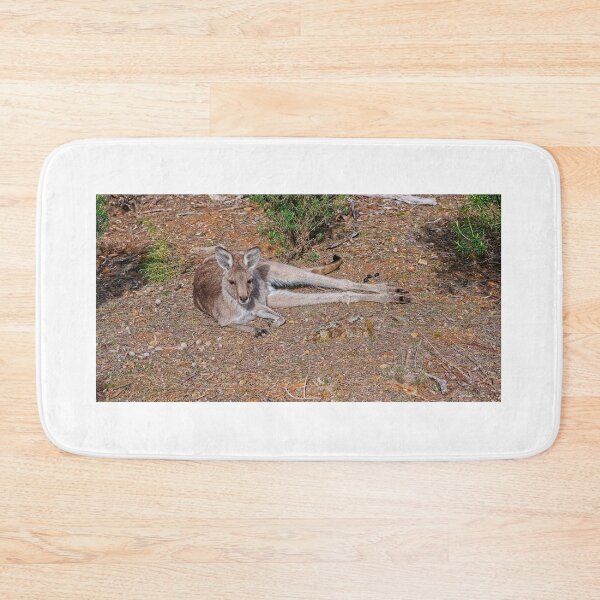 Item preview, Kangaroo, Canberra, Australia designed and sold by StevenRalserPhoto.