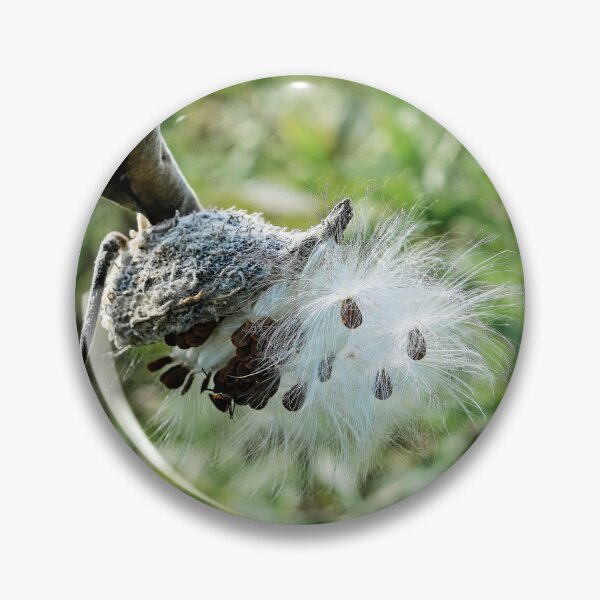 Artikelvorschau, Wolfsmilchexplosion 2 entworfen und verkauft von StevenRalserPhoto.