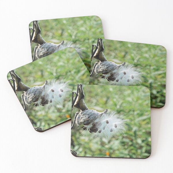 Item preview, MIlkweed Explosion 2 designed and sold by StevenRalserPhoto.