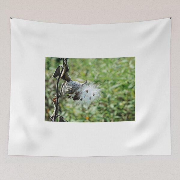 Item preview, MIlkweed Explosion 2 designed and sold by StevenRalserPhoto.