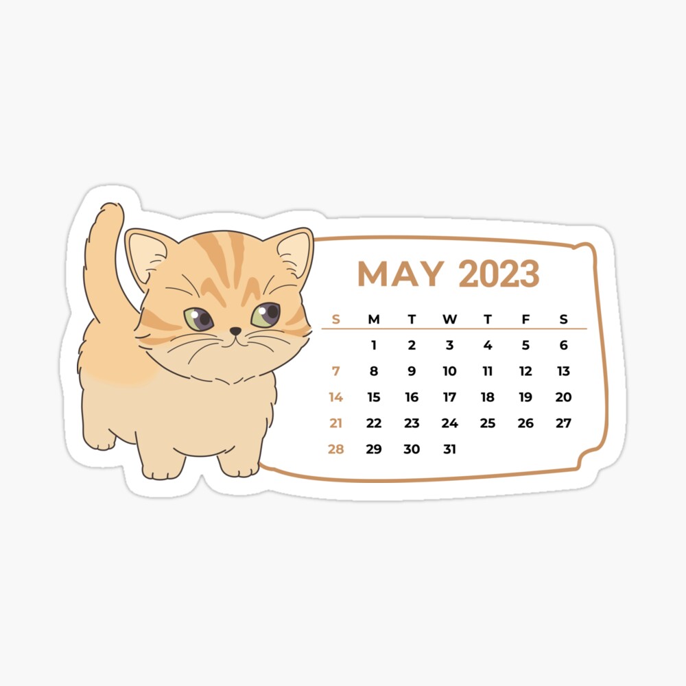 Plan ahead with the cute cats calendar 2023 And enjoy a year of cuteness