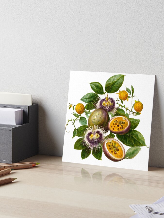 Botanical Passionfruit Lilikoi Illustration | iPad Case & Skin