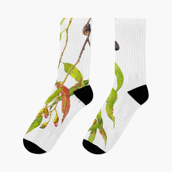 Item preview, Eucalyptus Tree Branch with Pink Gum Flowers designed and sold by Zoya Makarova.