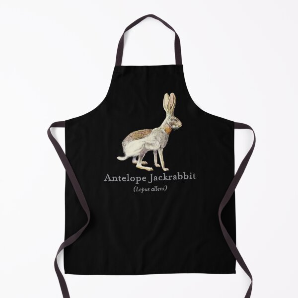Item preview, Antelope Jackrabbit Portrait with Scientific Name designed and sold by Futurebeachbum.